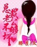 总裁老公不离婚完整版